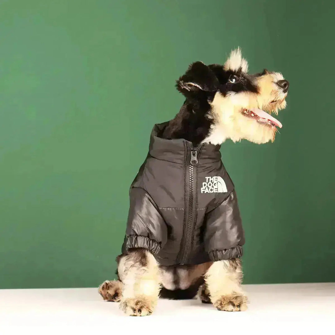 Skanto | The Dog Face Jacket - Type A