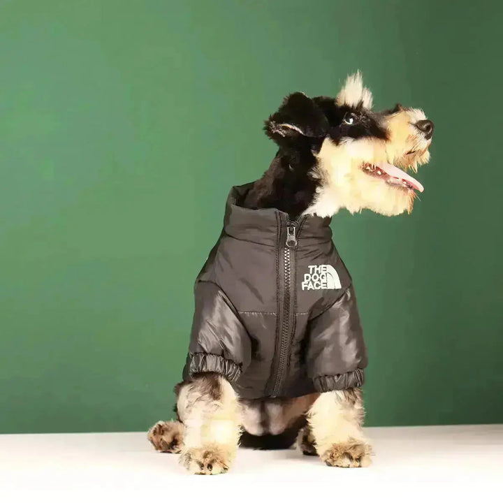 Skanto | Die Dog Face Jacket - Type A