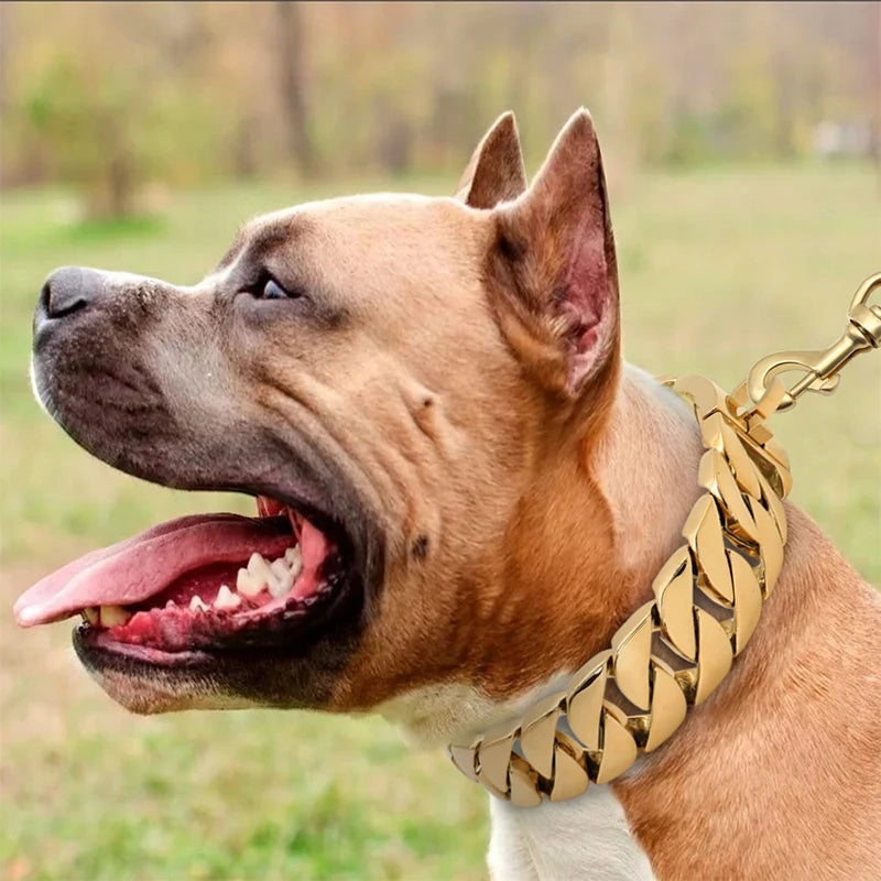 Skanto | KrachtNeck Metall Hundehalsbånd – Robust Rustfritt Stål Halsbånd for Store Hunder