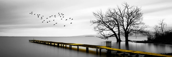 Ruhlig sjø Pier Bredformat Landskap Veggkunst Fine lerretsutskrifter Svart Hvit Bilder Av Ro For Over Sofabildet For Over Sengen | Skanto