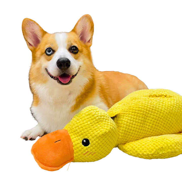 Skanto | Hundelek Plush And Mental Stimulation