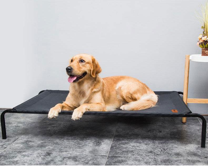 Duke - Pustende Mesh Hevettseng | Skanto