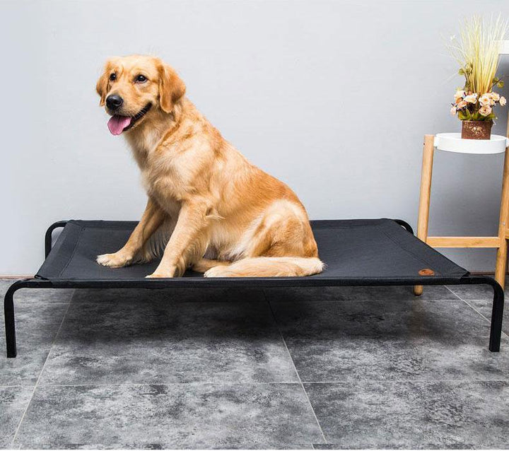 Duke - Pustende Mesh Hevettseng | Skanto
