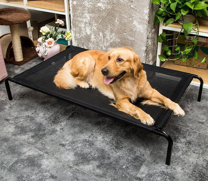 Duke - Pustende Mesh Hevettseng | Skanto
