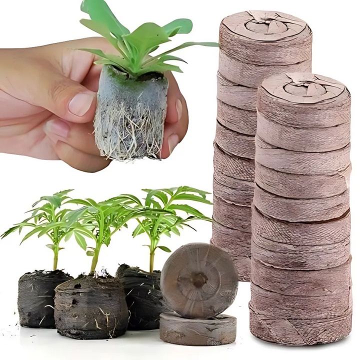 Skanto | Kokosfiber Torv Frøplante Pellets – Startpakke for Frøplante