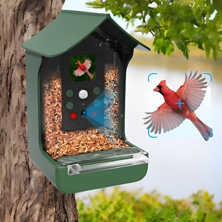 Skanto | Smart Bird Feeder med PIR bevegelsedeteksjon og automatisk opptak