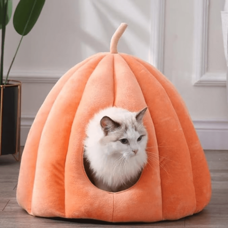 Skanto | Cozy Nook for Your Purrer