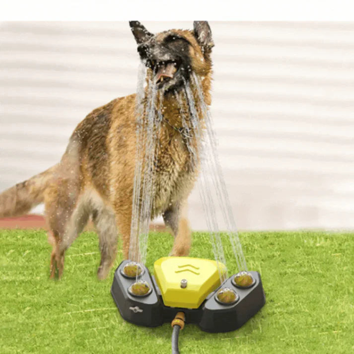 Multifunksjonell hundesprinkler med drikkefontene Skanto