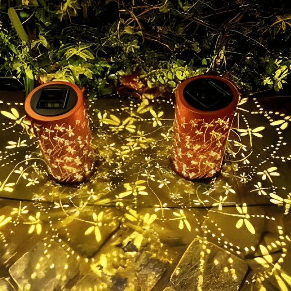 Skanto | Sunny Glow for Evening Explorers