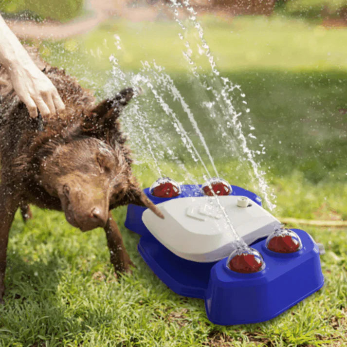 Multifunksjonell hundesprinkler med drikkefontene Skanto