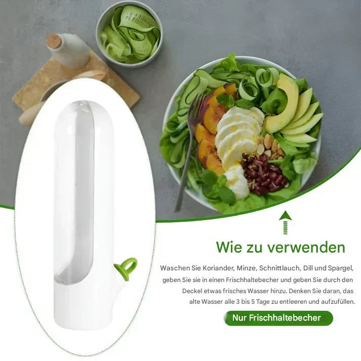 Skanto | Aromatisk urtekontainer for lengre ferskhet & plassbesparende lagring