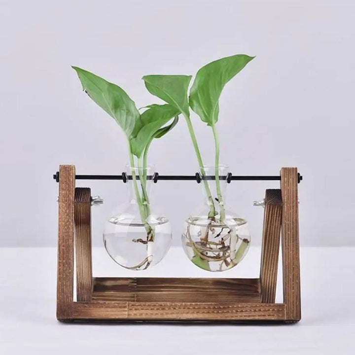 Skanto | Moderne hydroponisk potte med en treplate