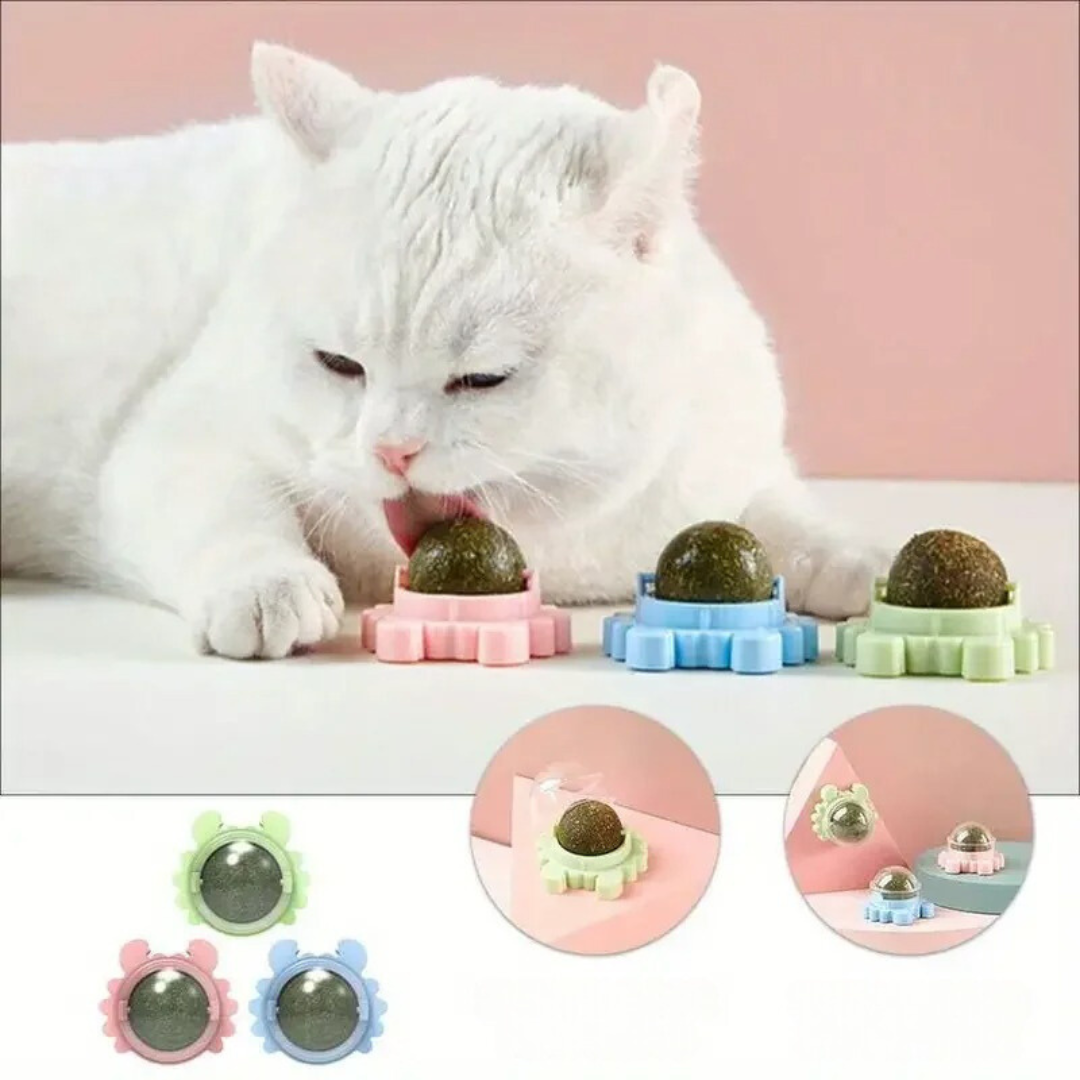 Catnip ball Skanto