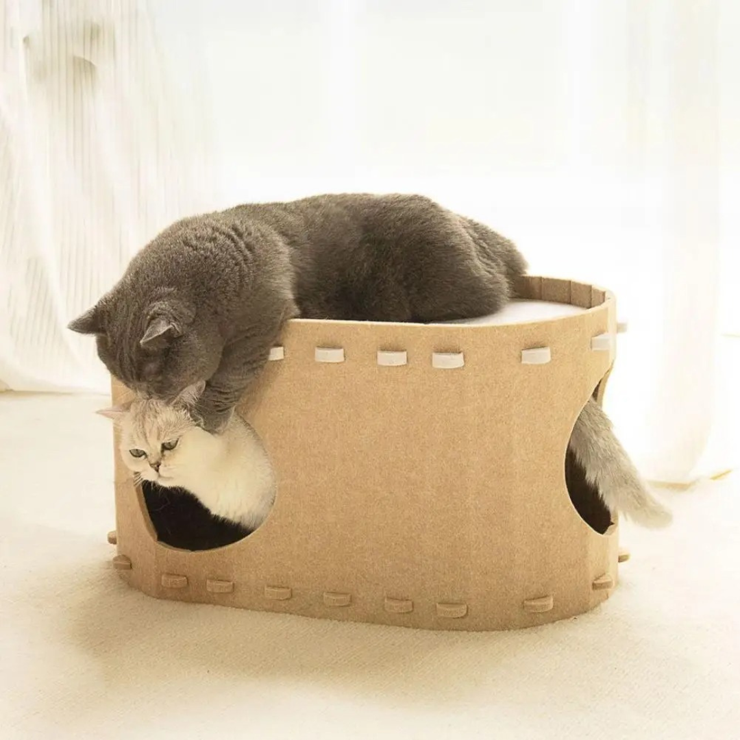 Koselig Ull Katt Hule Skanto