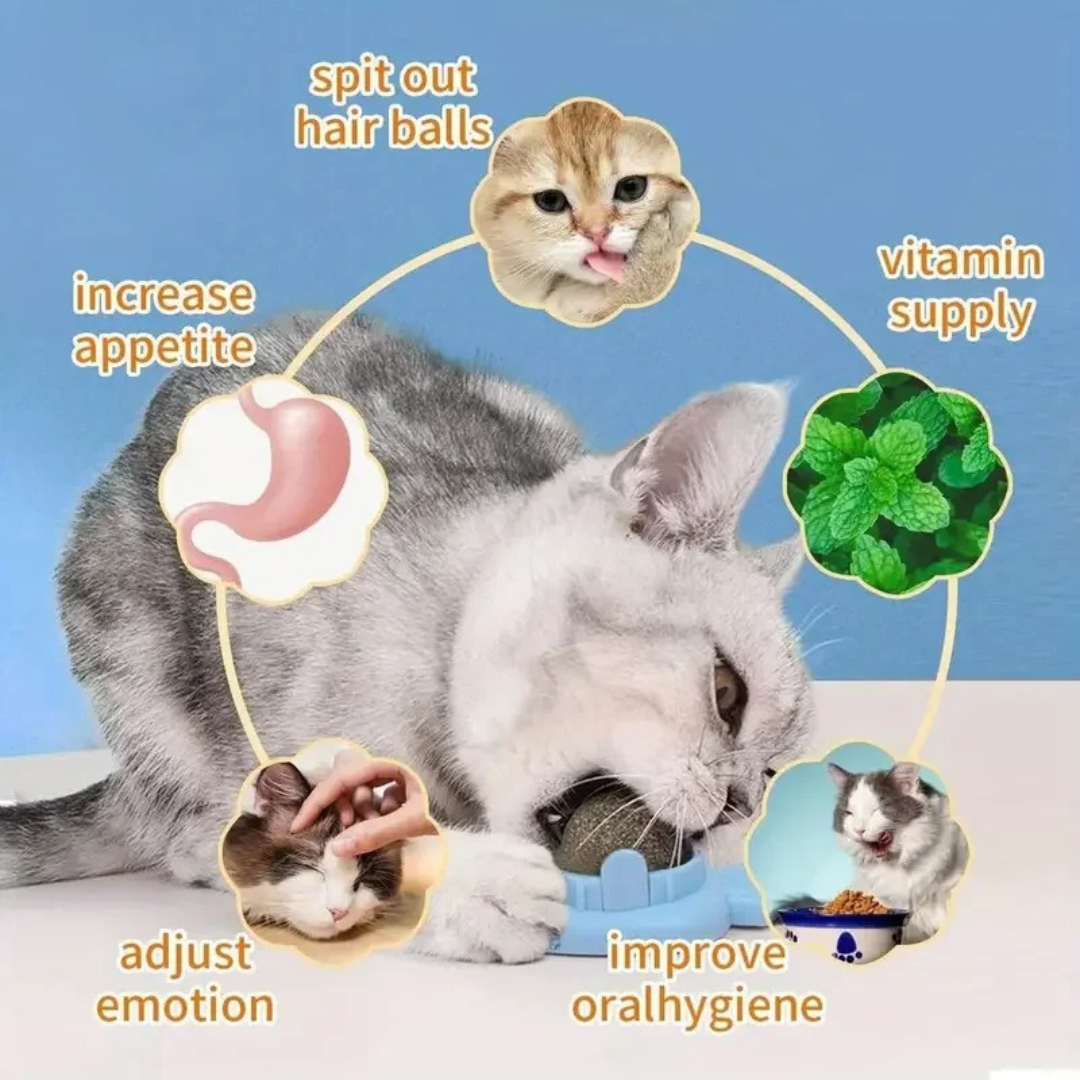 Catnip ball Skanto