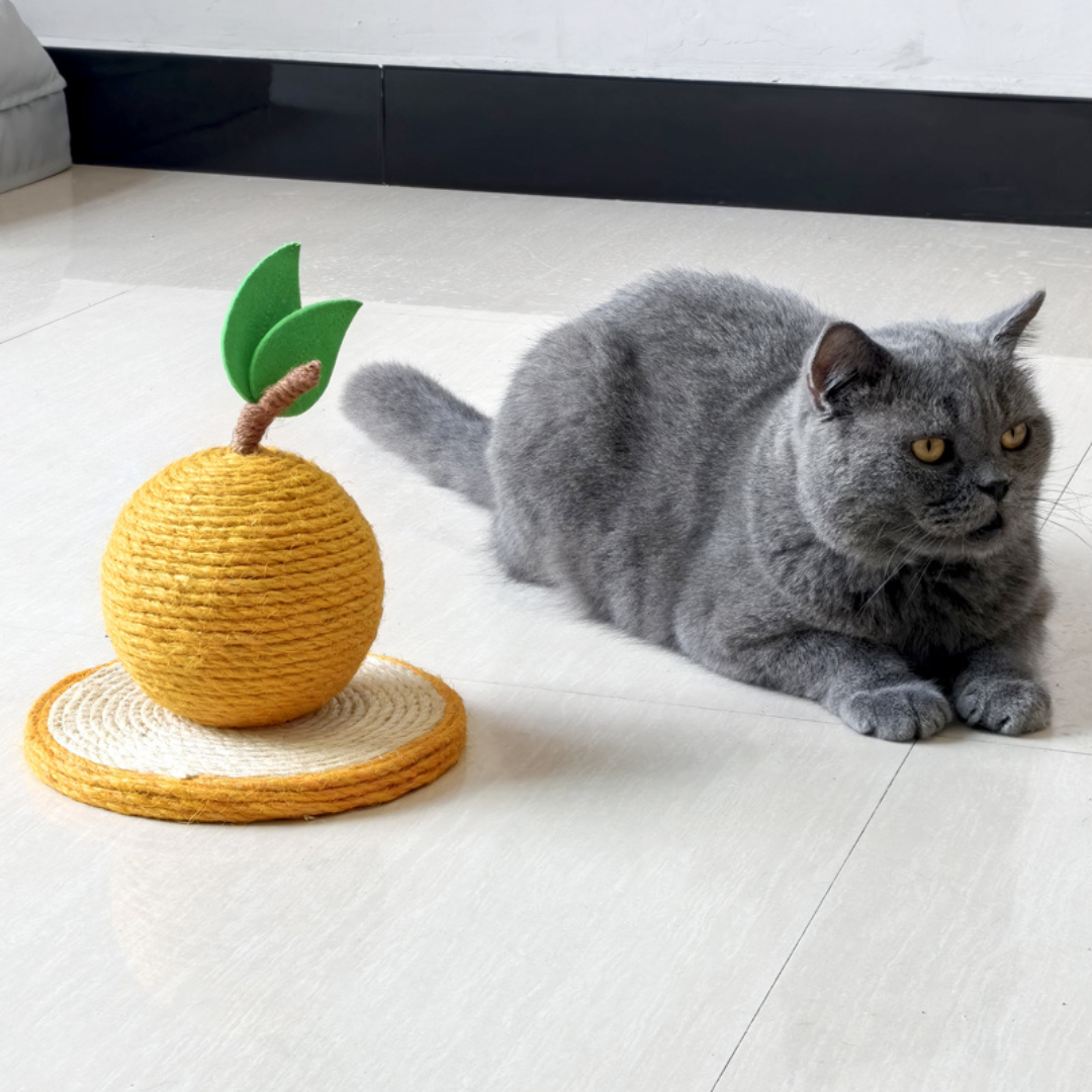 Katt klore oransje laget av sisal Skanto