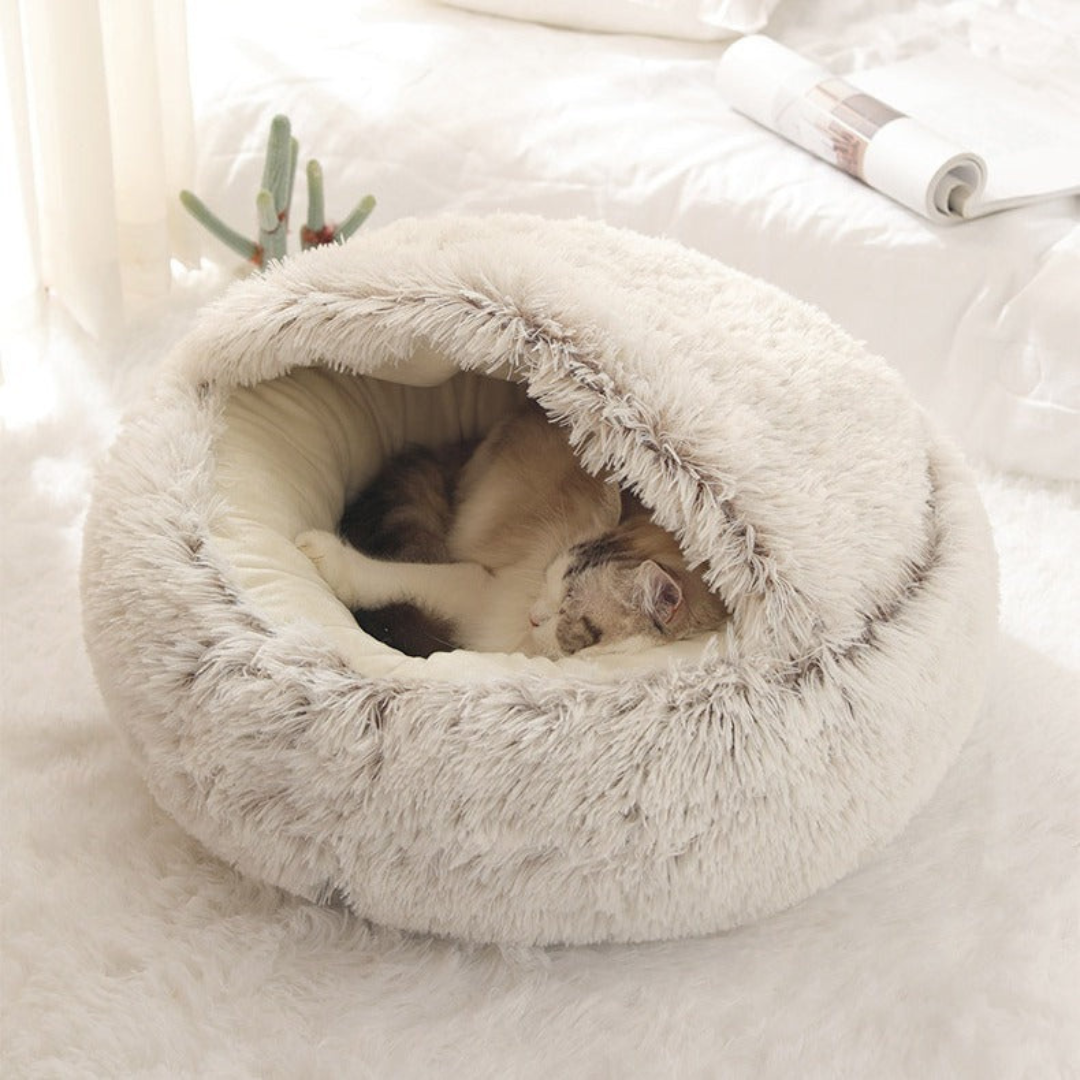 2-i-1 Katt Klem Hule Skanto