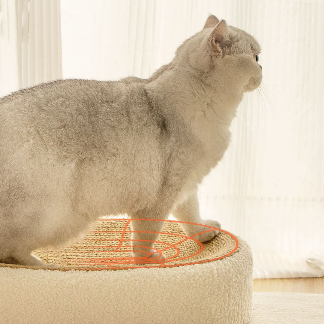 Premium kat sisal klore seng i beige Skanto