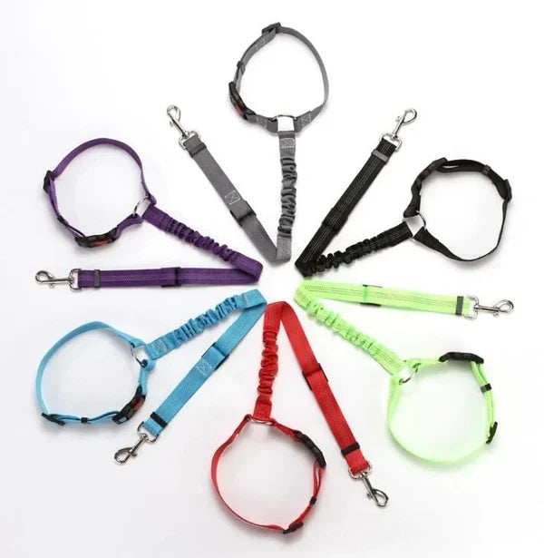 Justerbar Bil Hundesele | Skanto