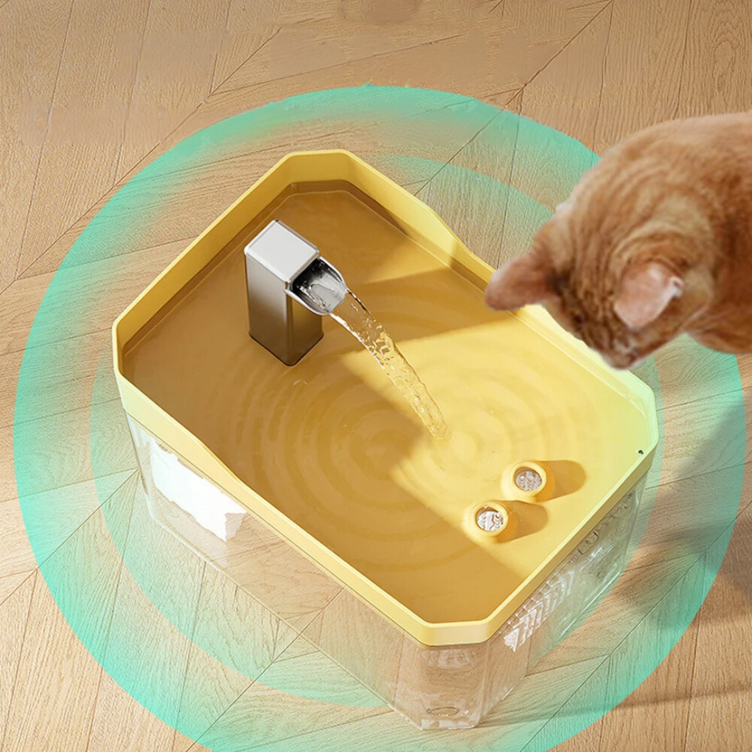 Katt og hund vann dispenser for rent og friskt vann Skanto