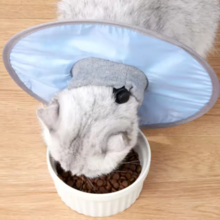Kattbeskyttelseskrampe myk & komfortabel Skanto