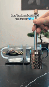 Skanto | Rustfritt Stål Gjenbrukbar Press Te Infuser