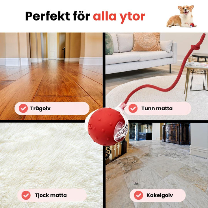 Skanto | PawTail | Speedy Tail Hund Jakke Lett Vannavstøtende Pustende