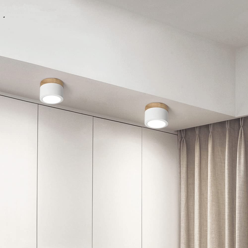 Skanto | LED Taklampe Moderne Flush Mount Sylinder