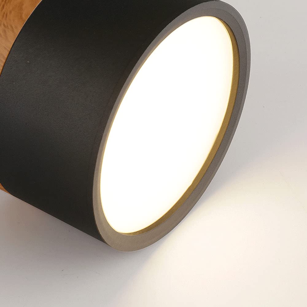 Skanto | LED Taklampe Moderne Flush Mount Sylinder