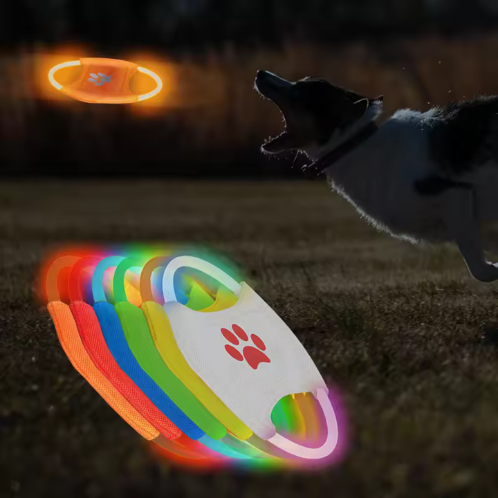 LED Frisbee for dogs oppladbar og vanntett Skanto