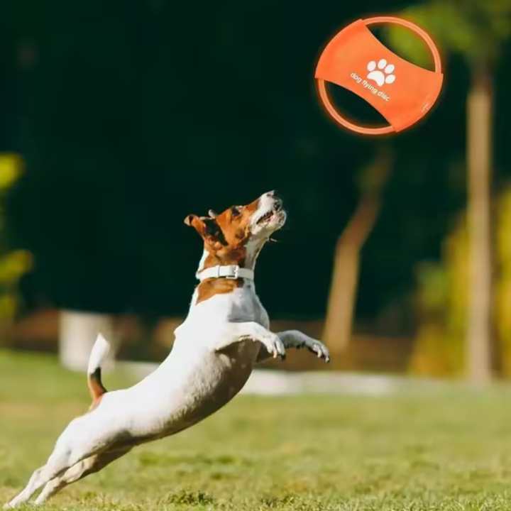 LED Frisbee for dogs oppladbar og vanntett Skanto