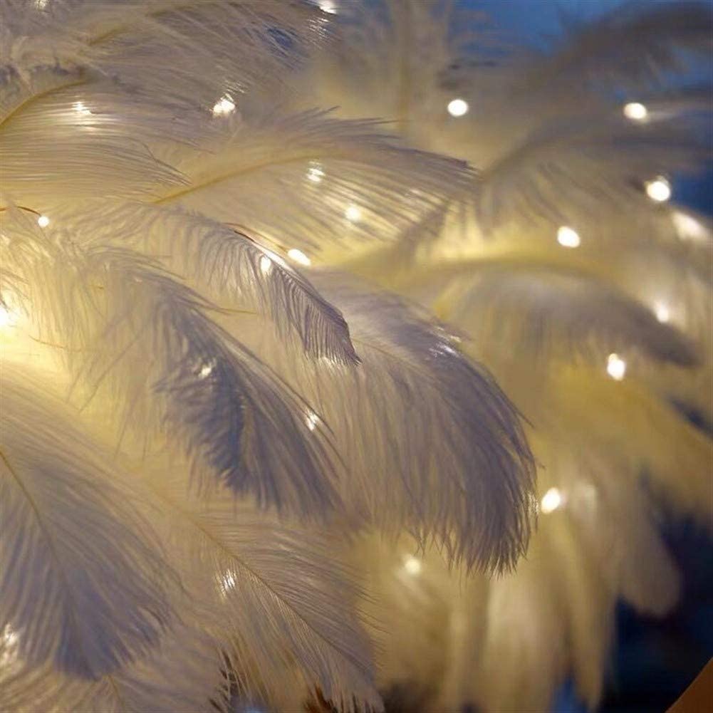 Ostrich Night Light | Eccentrisk Lampe med Fjær og Rose Gull Base | Skanto