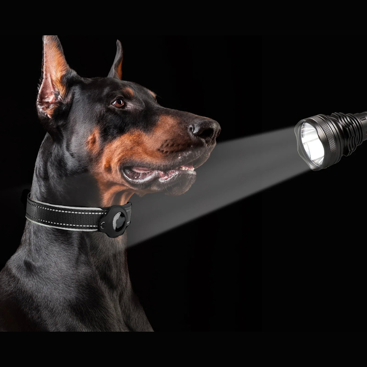 Skanto | LEAZO - AirTag hundehalsbånd