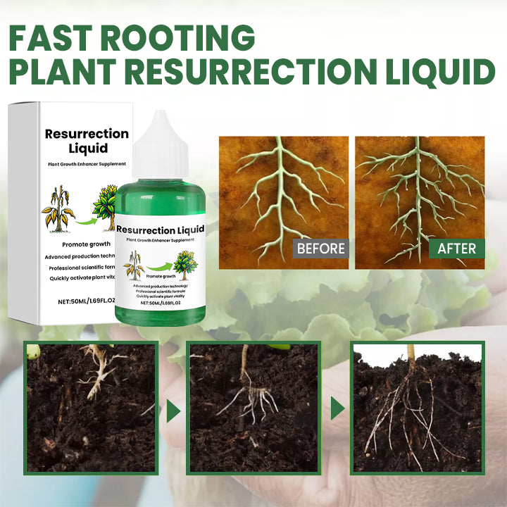 Skanto | PlantRevive | Gi liv tilbake til plantene dine