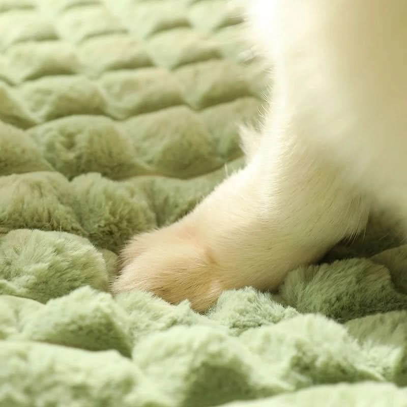 Skanto | PAWCLOUD - Vaskbar myk hundeseng