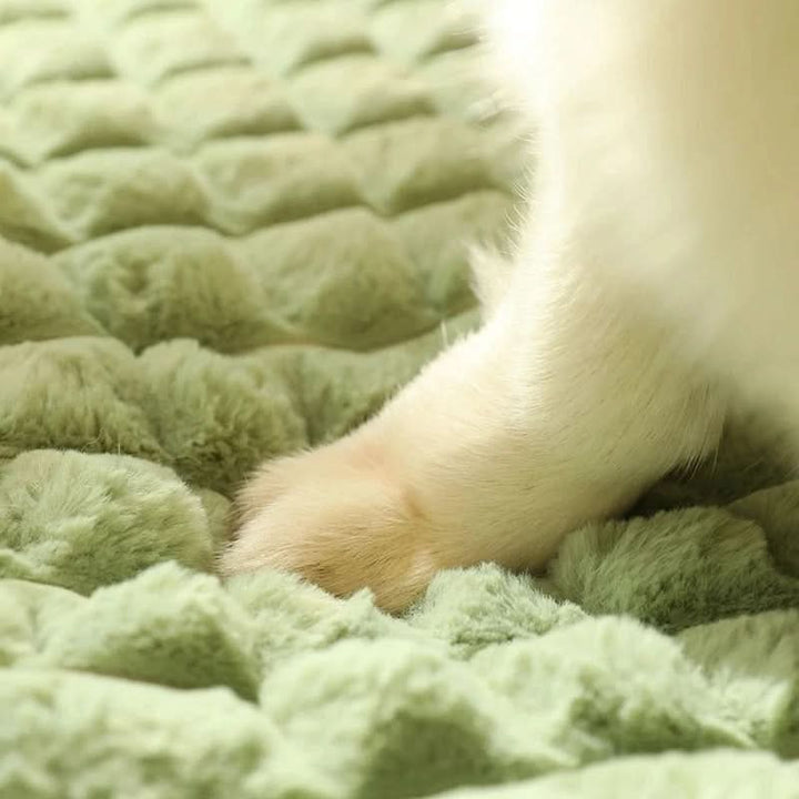 Skanto | PAWCLOUD - Vaskbar myk hundeseng