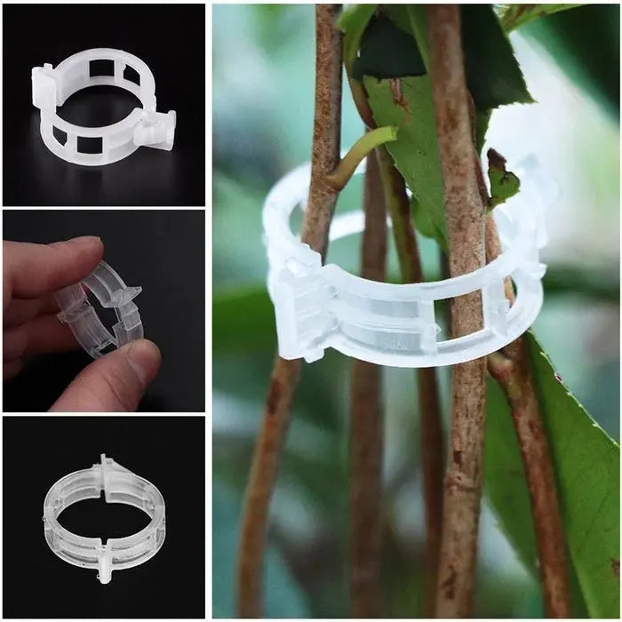 VitaGrip Clips — Sterk hold for majestetiske planter som vokser og trives stolt | Skanto