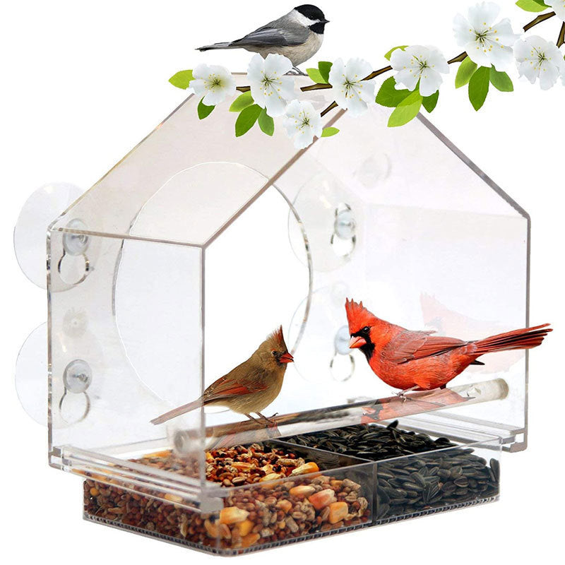 Smart Bird Feeder med Live Kamera | Skanto