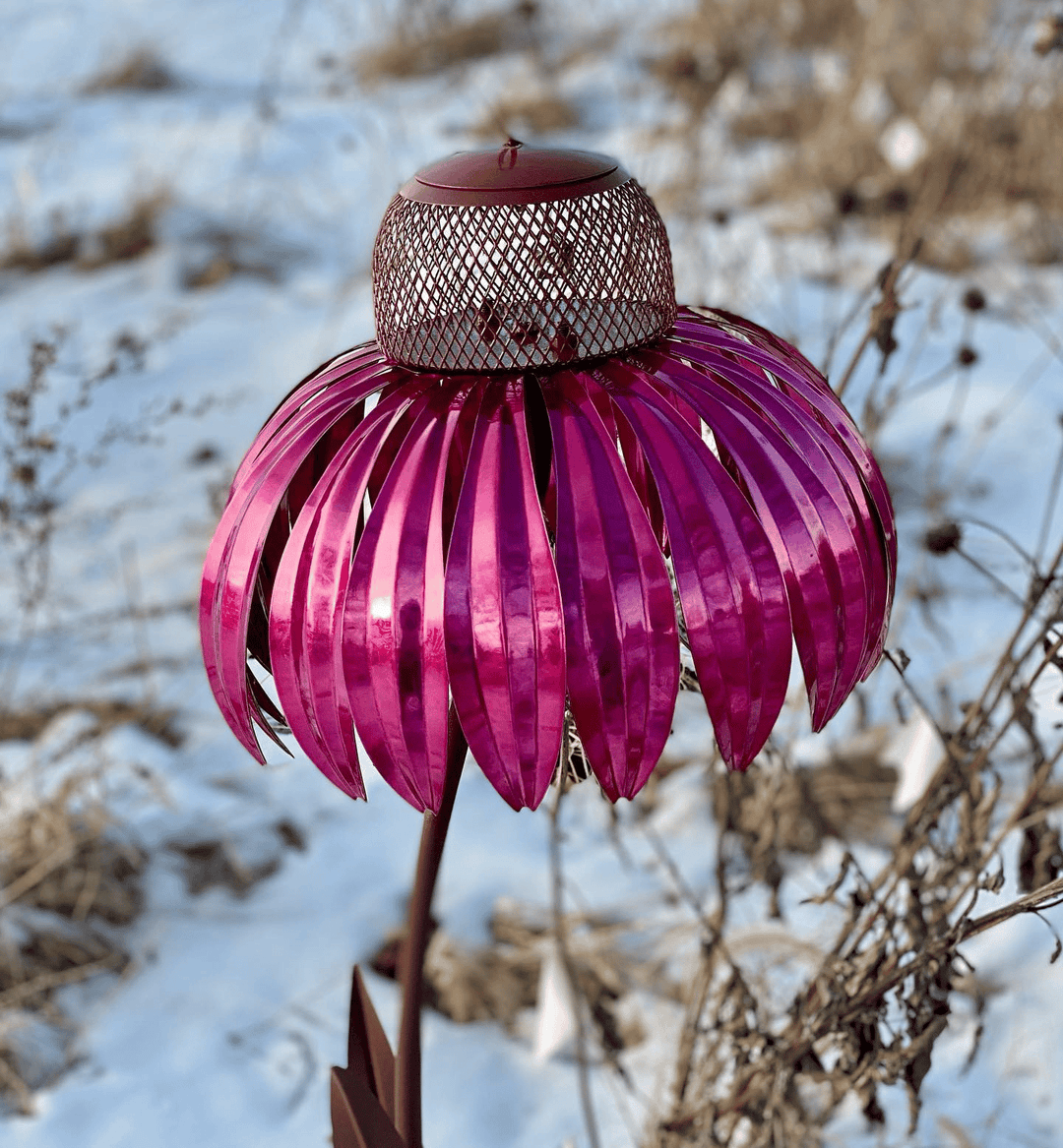Skanto | FloraNest Fugl Fôrer | Nyt gratis Koneblomster for en fargerik hage