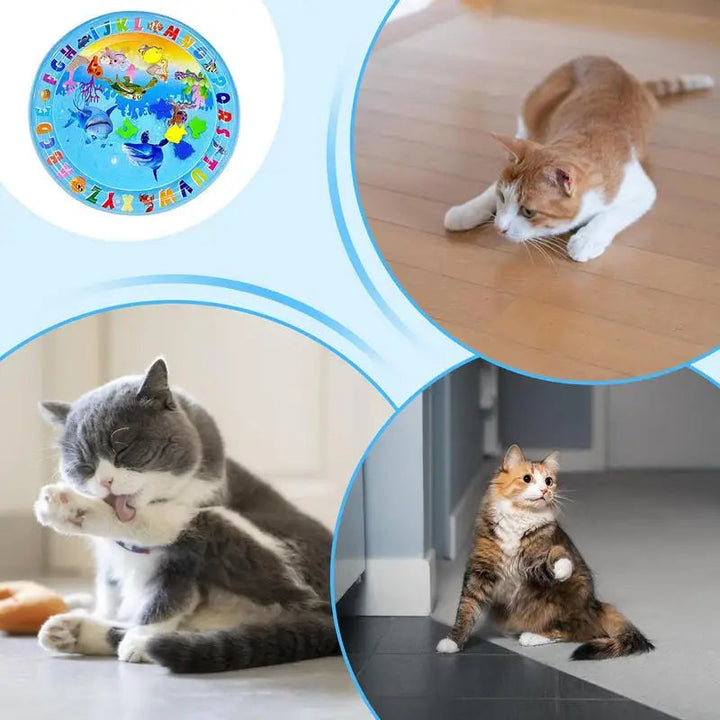 Skanto | FelineSplash — Slipp løs kattens ville jaktglede uten kaos og stress!