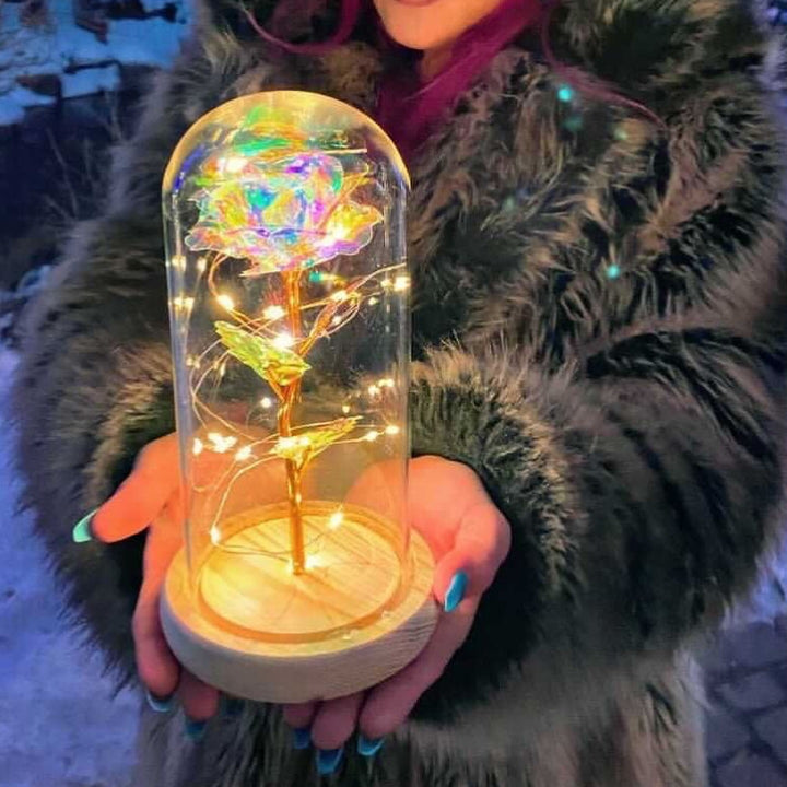 Rose i Glass Dome Display | Skanto