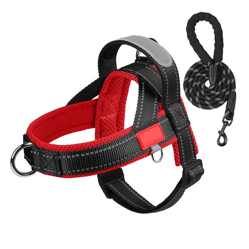 PawEase Comfort Harness — Avslappet påkledning og ubegrenset frihet for hunden din | Skanto
