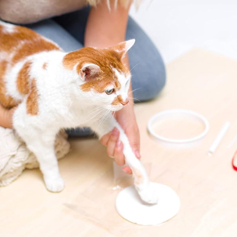 Skanto | Clay Pet Paw Impression Moulding Kit