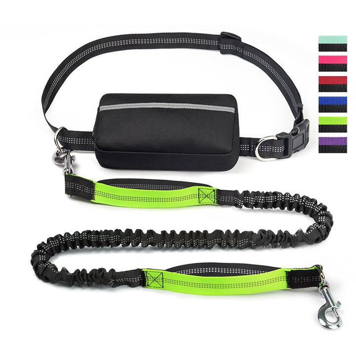 Skanto | PawsFree Pro – Nyt stressfrie turer med hunden din