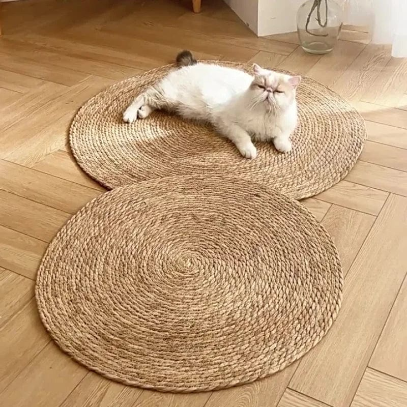 Skanto | KrazeLuxe Matt — Endelig fred fra kløe-kaos og den favorittplassen for katten din