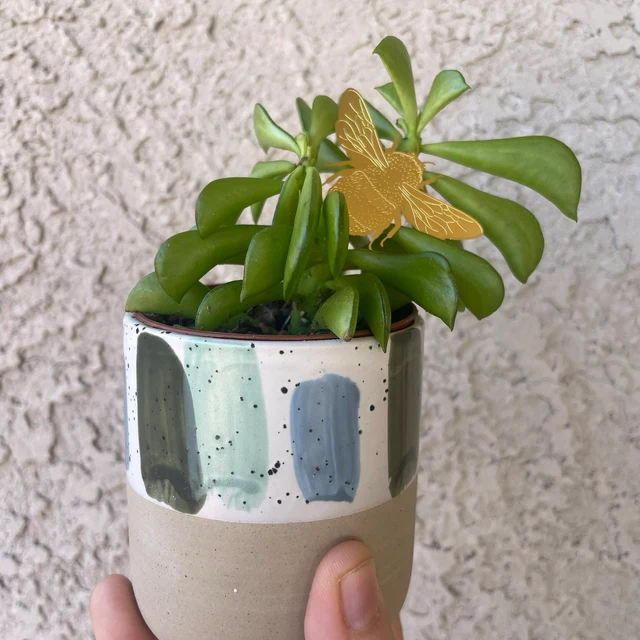 Skanto | Plant Dyr Dekorasjoner
