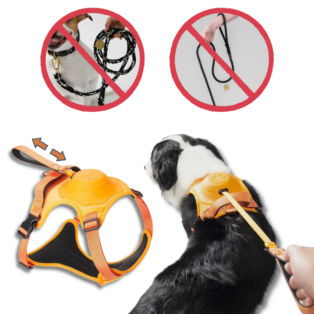 Justerbart og ergonomisk sett med hundesele og bånd