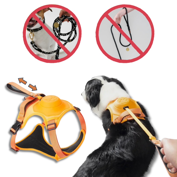 Justerbart og ergonomisk sett med hundesele og bånd