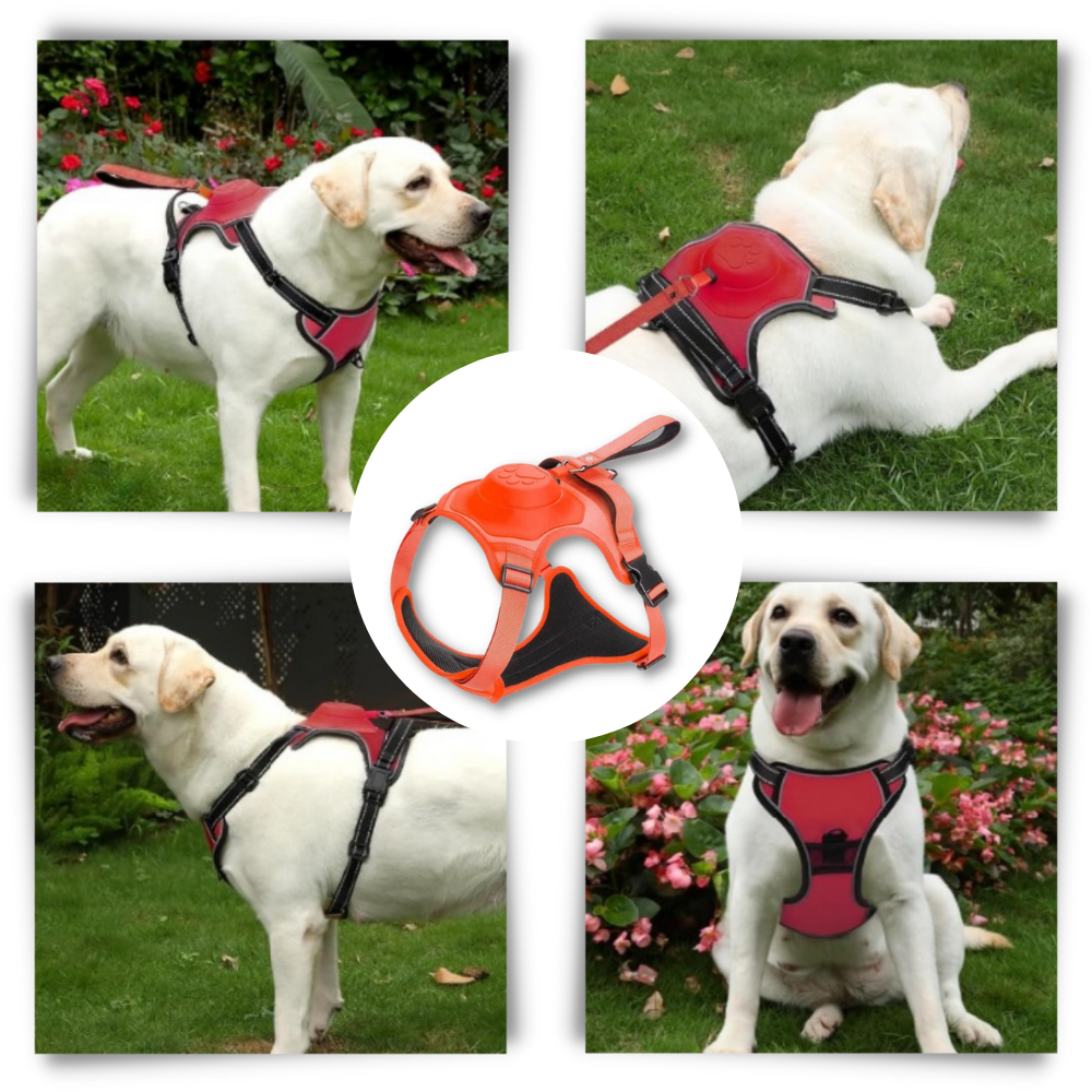 Justerbart og ergonomisk sett med hundesele og bånd