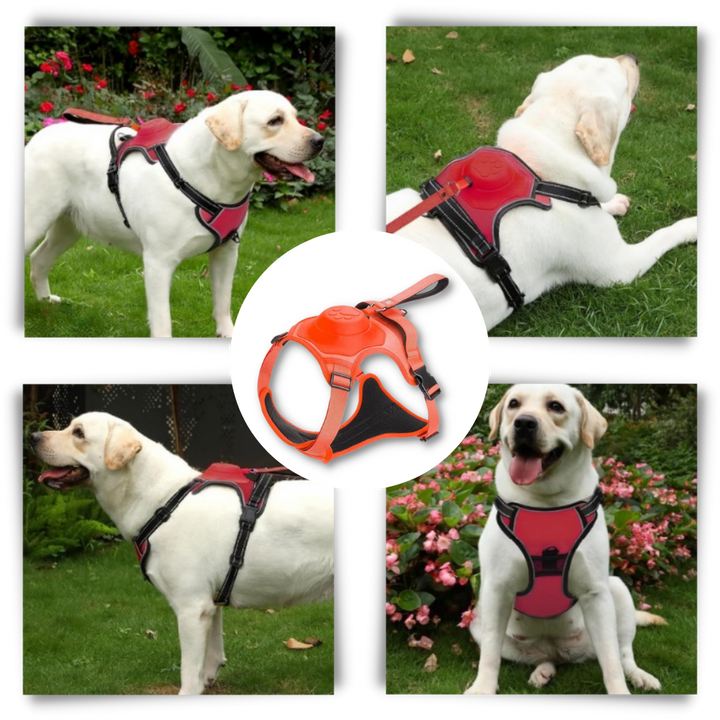 Justerbart og ergonomisk sett med hundesele og bånd